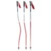 Swix WC Pro Carbon Ski Pole 2 Swix WC Pro Carbon Ski Pole -The Raceplace Shop 20 Swix Composite Race Poles